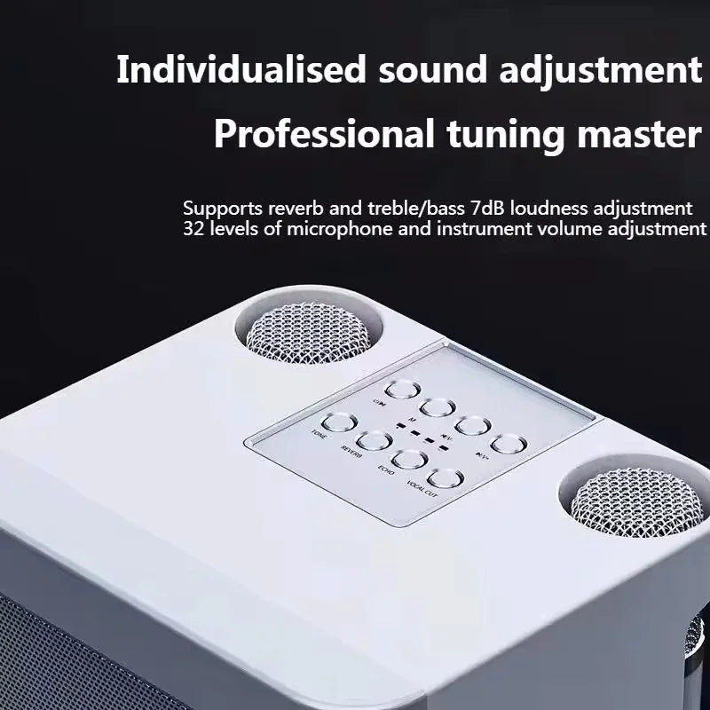 AyeBeau Portable Karaoke Bluetooth Speaker with Microphone