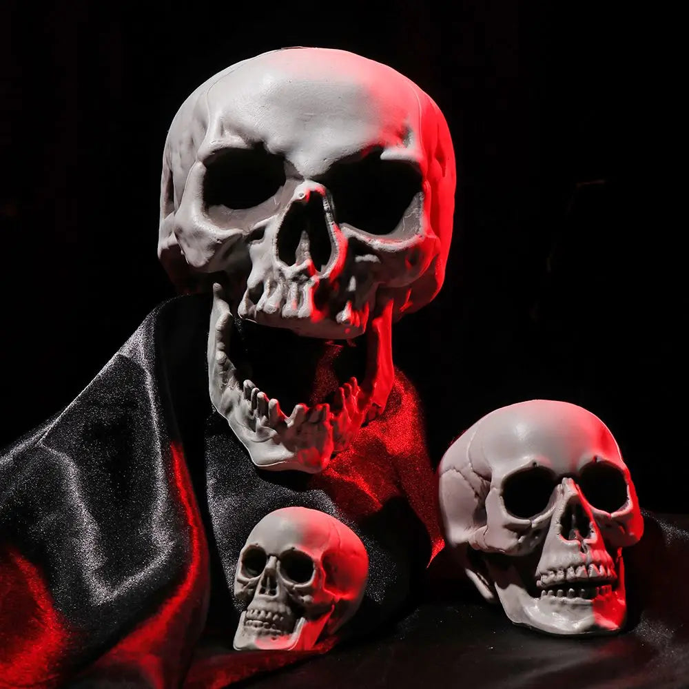 1PC All Size Party Decoration Home Decor Halloween Props Human Skeleton Skull Head Hanging Decor Oasis Select