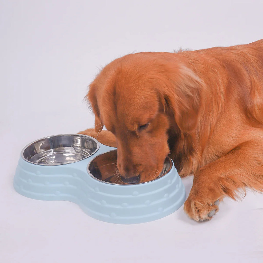 PP Material Pet Feeding Bowl Stainless Steel Large Capacity Dog and Cat Drinking Water and Eating Double Bowl Non-Slip Feeding Oasis Select