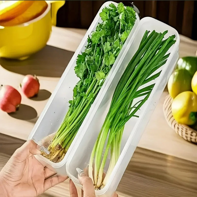 2/4pcs Long Rectangular Food Storage Containers, Plastic Reusable Refrigerator Organizer Boxes for Herbs, Vegetables Oasis Select 2pcs