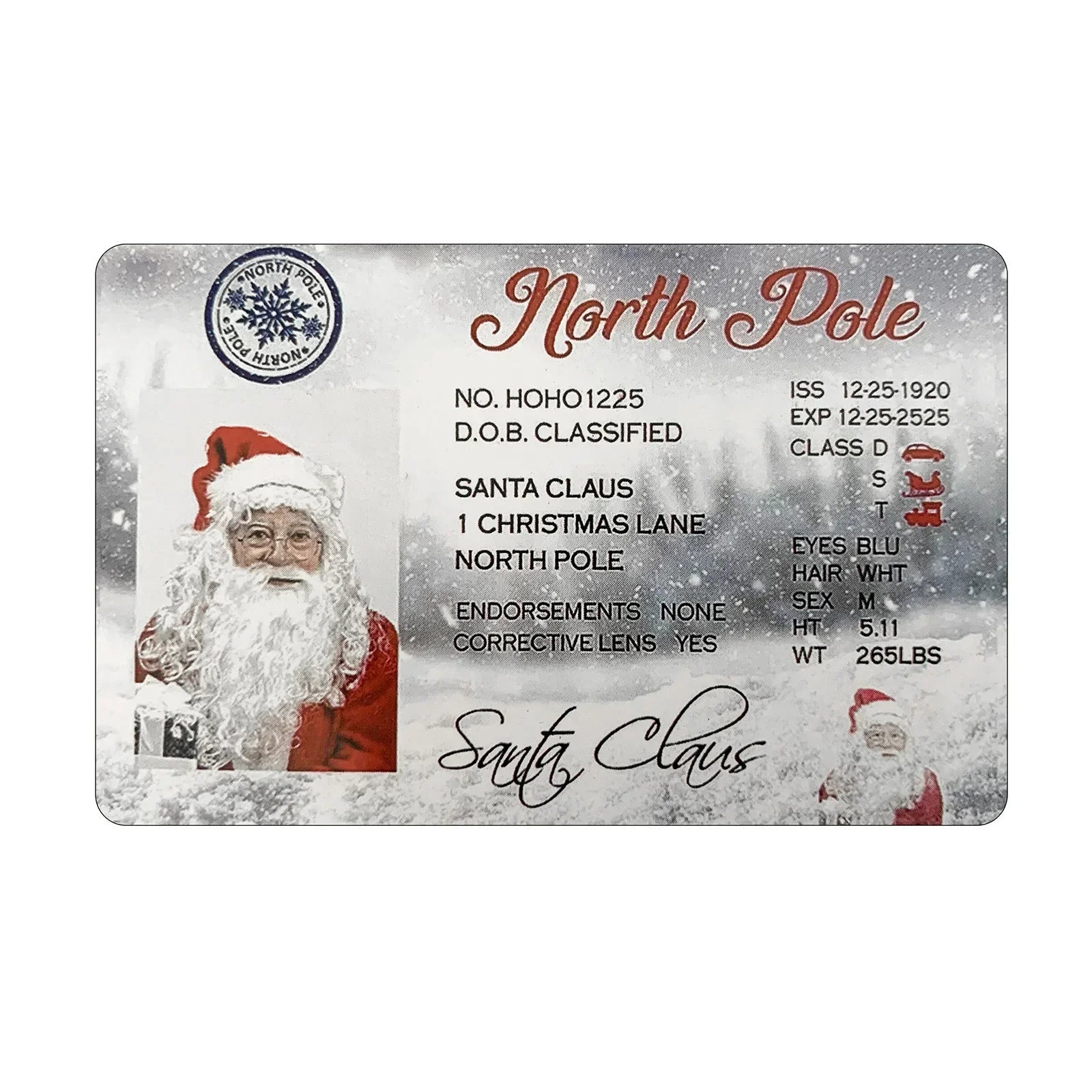 Card Santa Claus Flying Licence Christmas Eve Driving Licence Christmas Gift For Children Kids Chris Lost ID Card Santa License Oasis Select E
