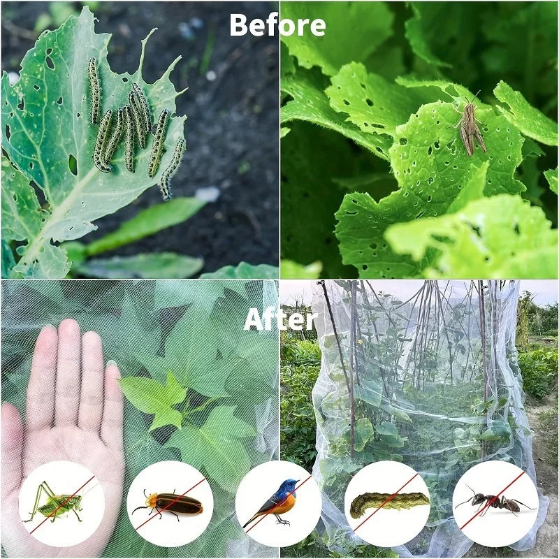 DIY Plant Covers Freeze Protection Floating Row Blankets Plant Cold Cover Cloth for Fruit Vegetables Tree Yard Garden Tools Oasis Select