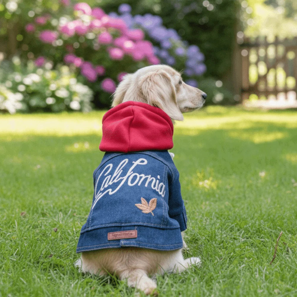 Fashion Letter Embroider Pet Denim Hoodie Comfortable with Drawstring Dog Jean Jacket Windproof Pet Cowboy Outfit Spring Autumn Oasis Select