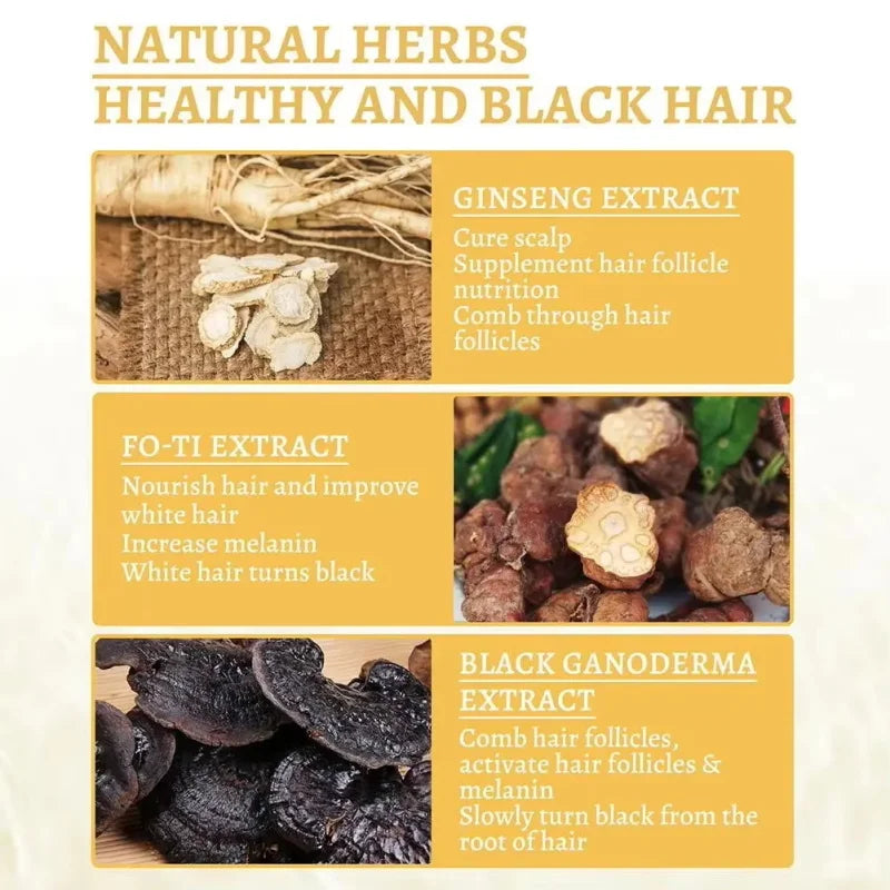 Herbal Hair Dye Shampoo – Natural Black & Grey Coverage Hair Dye Shampoo Oasis Select