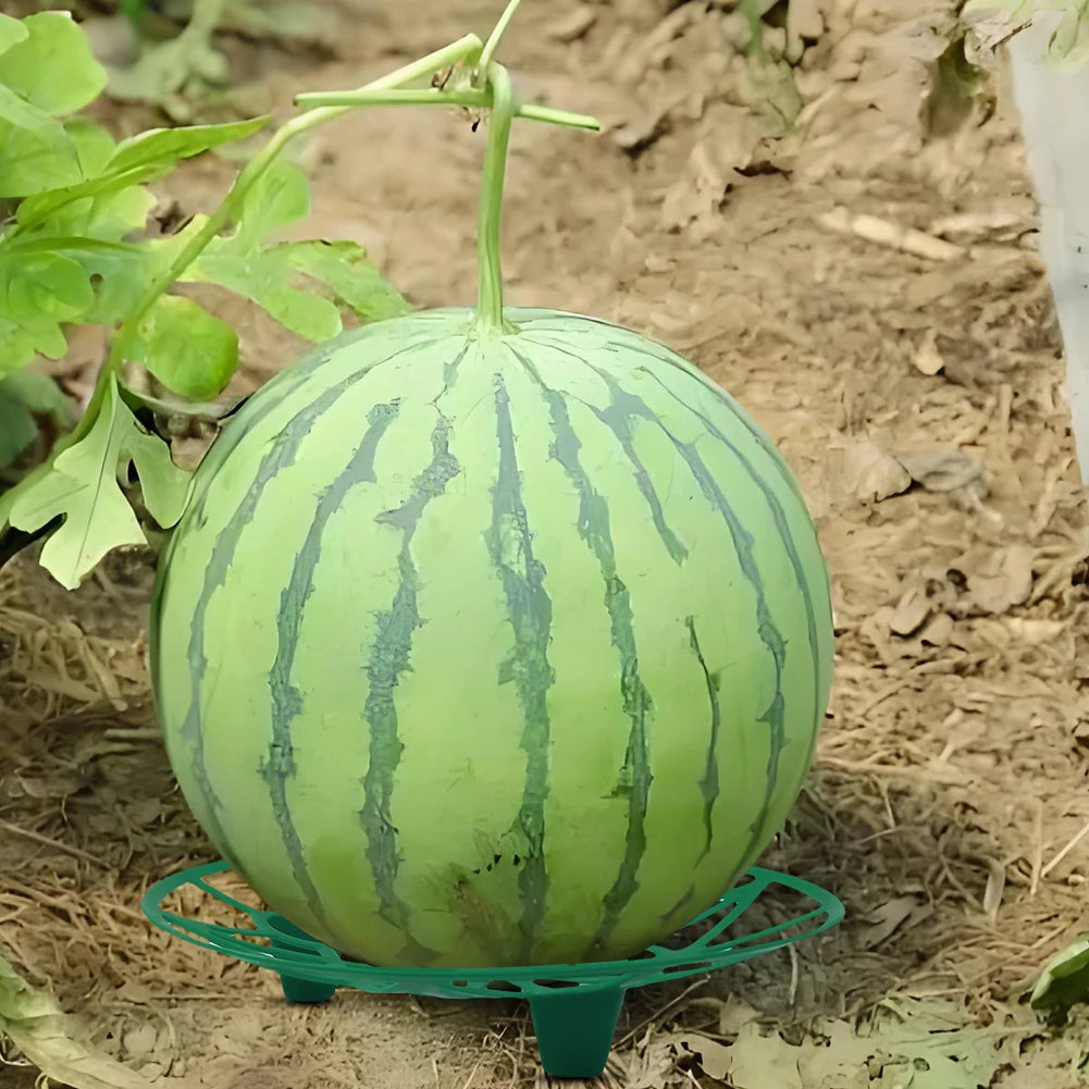 10pcs Watermelon Cradle Reusable Fruits Vegetables Nursery Tray Vegetables Plant Holder for Watermelons Pumpkins Melons Squash Oasis Select