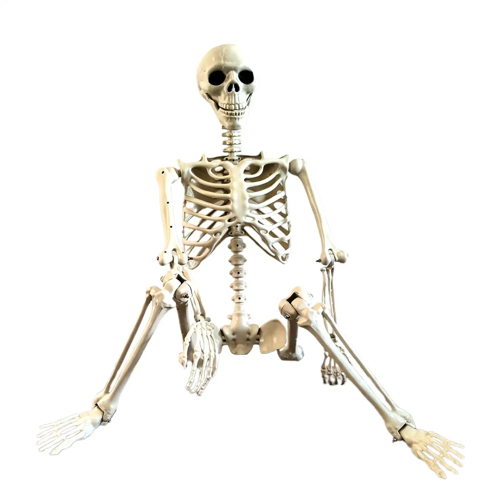 Halloween Skeleton 90cm Halloween Human Shape Posable Human Shape Bones Halloween Herror Decorations Haunted House Horror Props Oasis Select