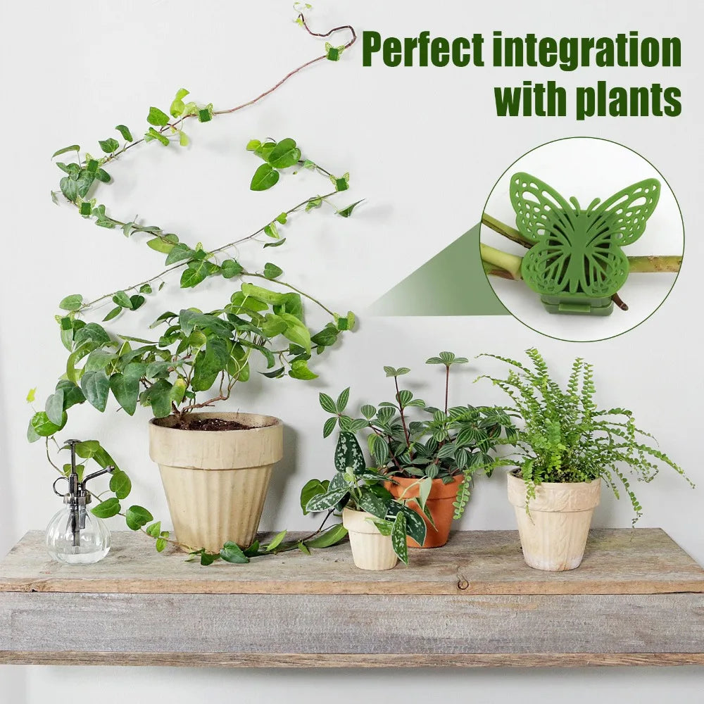 Bracket Hook Flowers Holder Hooks Vegetables Tied Fixed Wall Vines Fixture Plant Support Plant Climbing Clip Plants Bracket Oasis Select