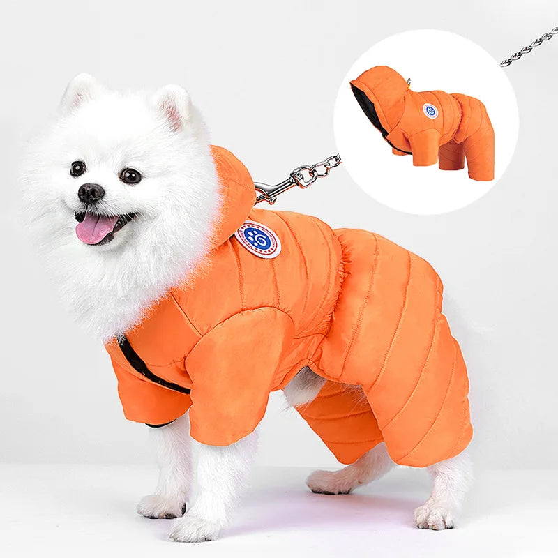 Dog Clothes Autumn and Winter Thickened Cotton Clothes Small Dog Teddy Bimi Bear Winter Warm Waterproof Four-legged Clothes Oasis Select