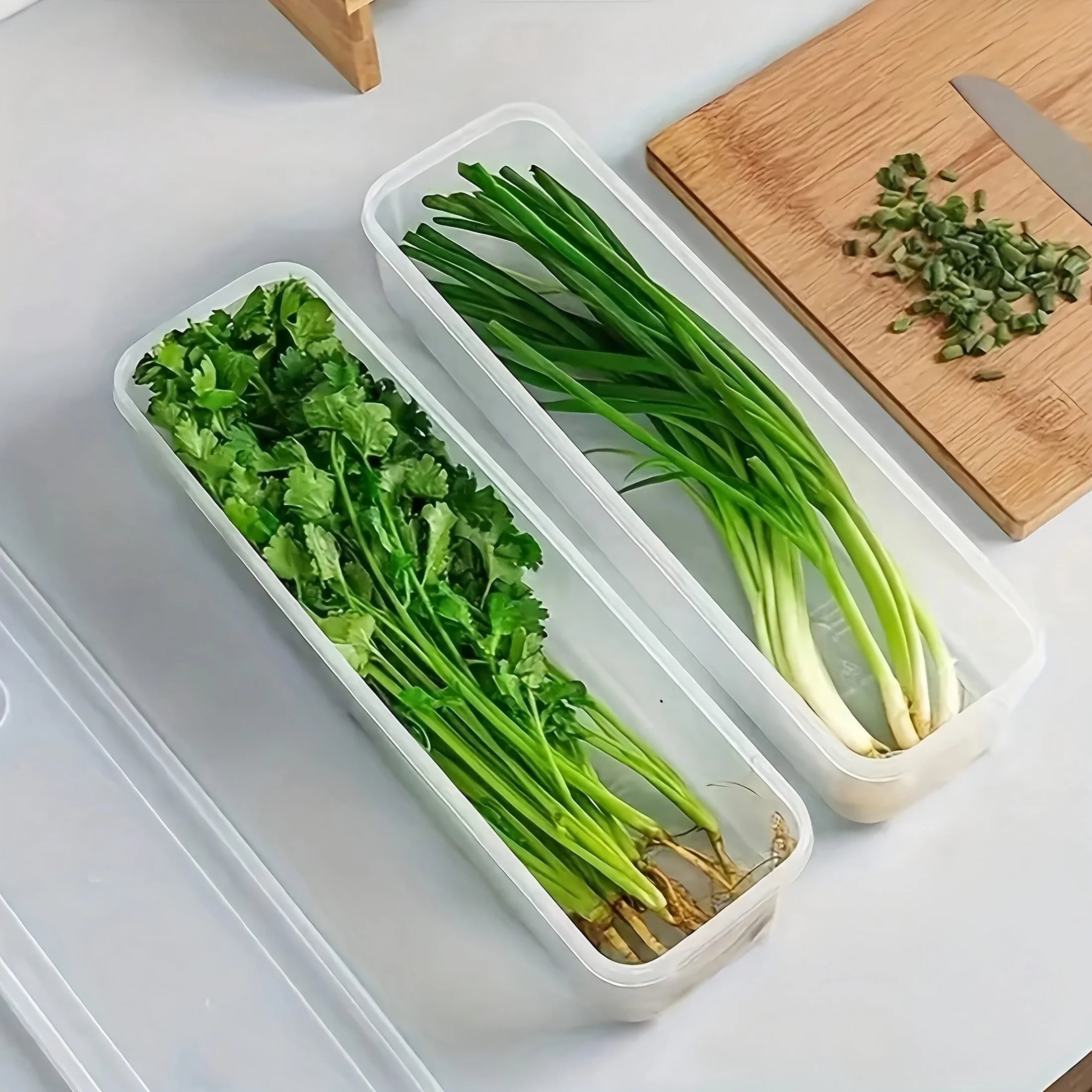2/4pcs Long Rectangular Food Storage Containers, Plastic Reusable Refrigerator Organizer Boxes for Herbs, Vegetables Oasis Select