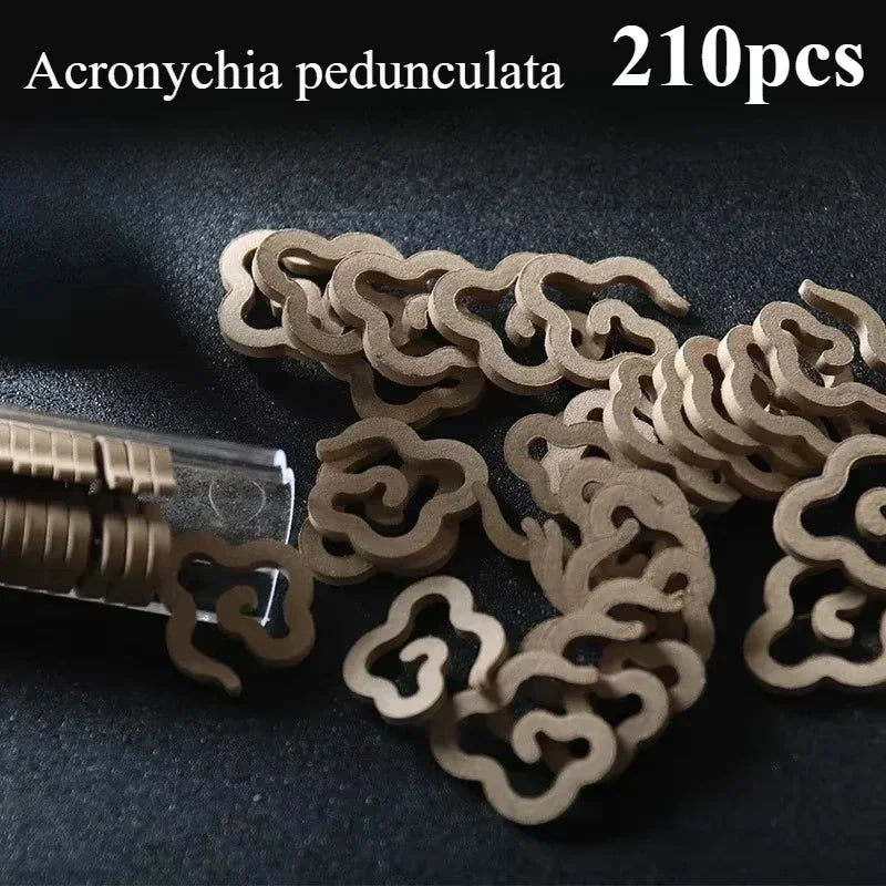 5 Bottle of Small Xiangyun Coiled Incense Nha Trang Agarwood and Sandalwood ambergris , Multiple Scents (42 Pieces Per Bottle) Oasis Select Acronychia peduncula