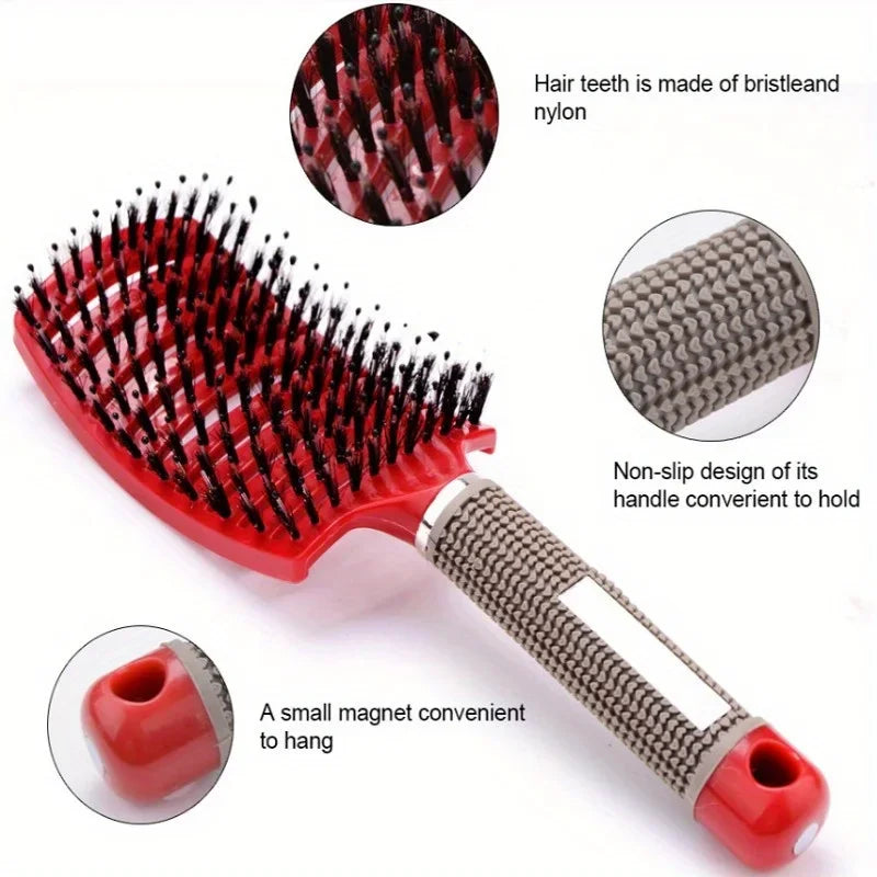Multi-Color Scalp Massage Comb | Wet & Curly Hair Tool Scalp Massage Comb Oasis Select