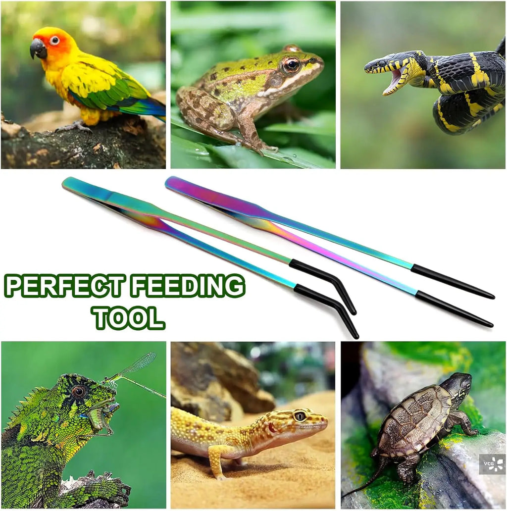 2pcs Stainless Steel Reptile Feeding Tongs with Rubber Tip，10.6" Straight & Crafts - Feeder Tools for Bearded Dragons & Lizards Oasis Select