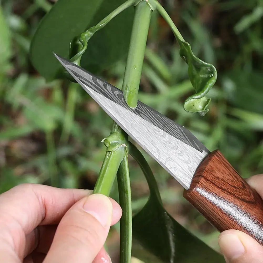 Grafting Knife – Sharp Blade, Wood Grain Handle & Leather Sheath