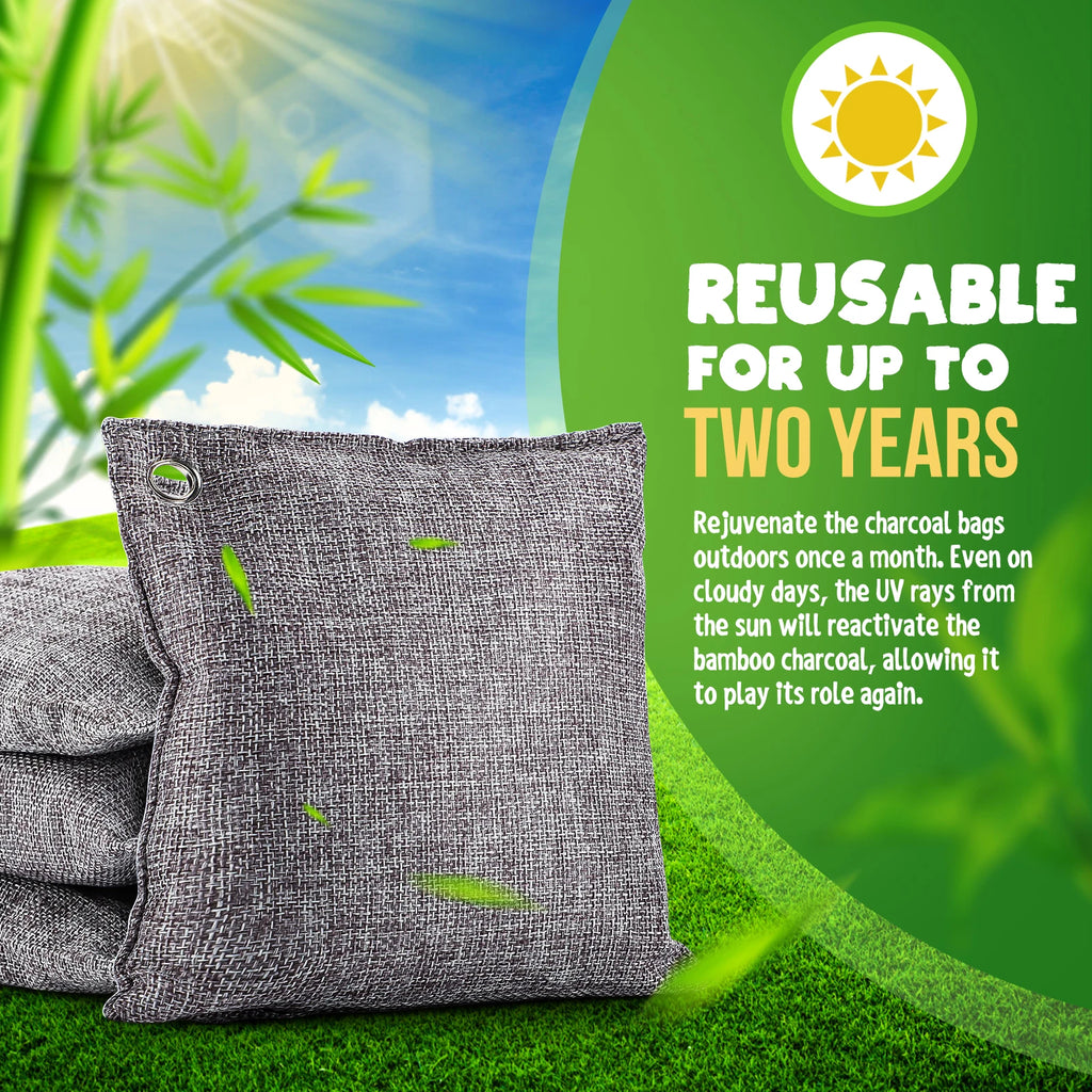 10-Pack Bamboo Activated Charcoal Bags | Odor & Moisture Absorber