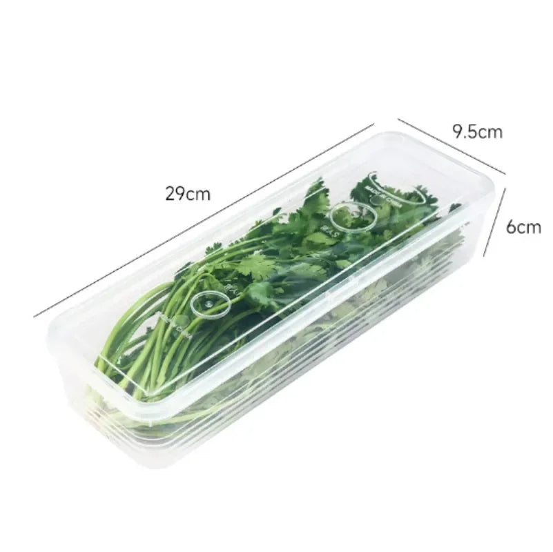 1/5PCS Fresh Box Refrigerator Storage Boxes Scallions Food Container, fresh-keeping Food Boxes,Transparent Sealed Storage Box Oasis Select Transparent 3pcs