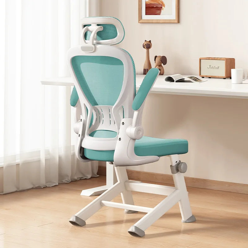 Teen Study Chair Bedroom Desk Chair Computer Chair Ergonomic Office Chair Oasis Select 2