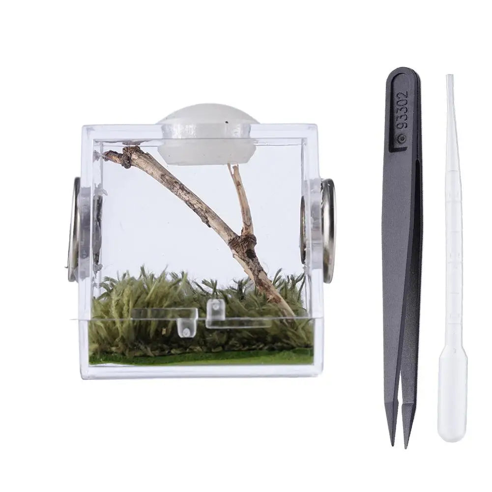 Small Reptile Feeding Box Transparent Acrylic Jumping Spider Breeding Box Habitat Small Insect Container Humidifier Feeding Box Oasis Select S