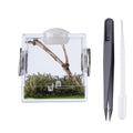 Small Reptile Feeding Box Transparent Acrylic Jumping Spider Breeding Box Habitat Small Insect Container Humidifier Feeding Box Oasis Select S