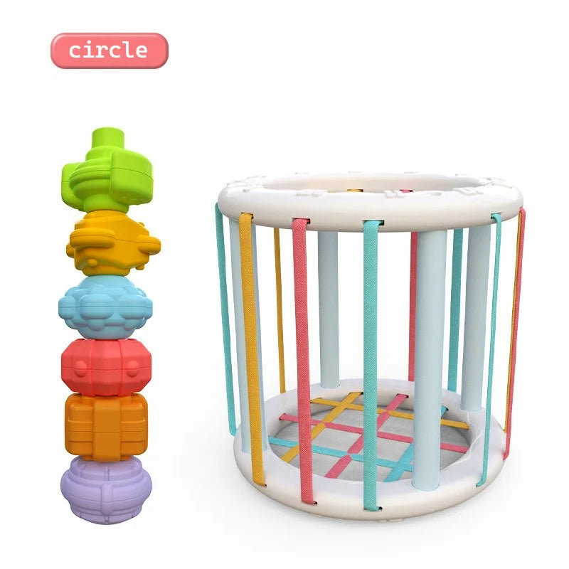 Montessori Baby Toys 18 Months Sensory Development Learning Educational Toys Colorful Blocks Sorting Game For Babies Infant Oasis Select cylinder
