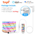 5M FCOB Ambinet LED Strip DIY Addressable Control Can Flicker and Flow,12V Tuya APP Controlled Uniform Chase Color Light Voice Oasis Select European Power Plug DC 12V 5M Kit