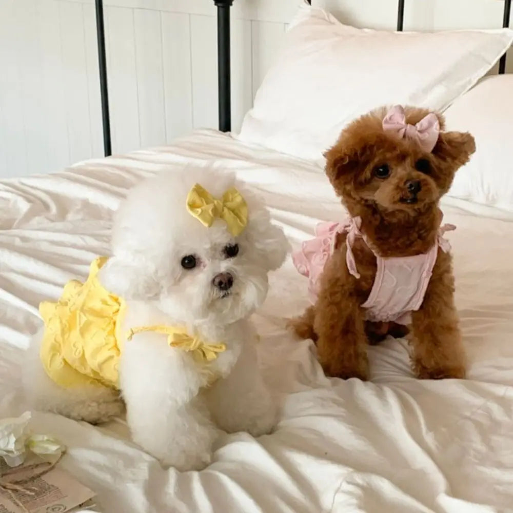 Fashion Cute Pet Love Strap Cake Skirt Breathable Thin Design Pet Summer Clothes Soft Dog Vest Spring/Summer Oasis Select