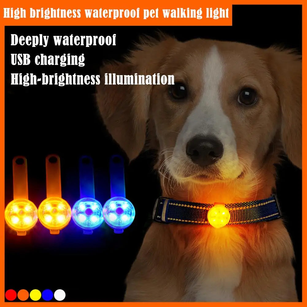 Rechargeable LED Dog Collar Light – Waterproof Night Safety Pendant
