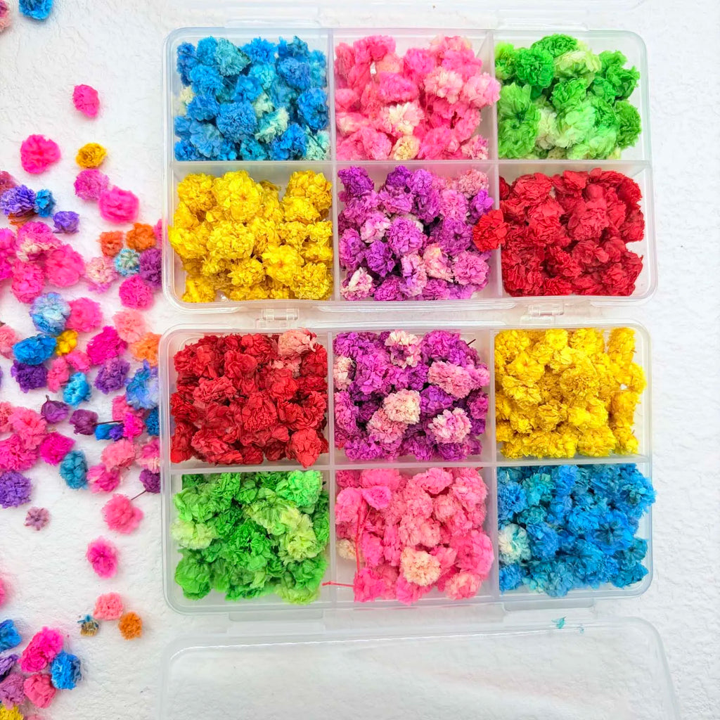 Dried Flowers for Resin, Candle, Soap, Nail Art & DIY Crafts