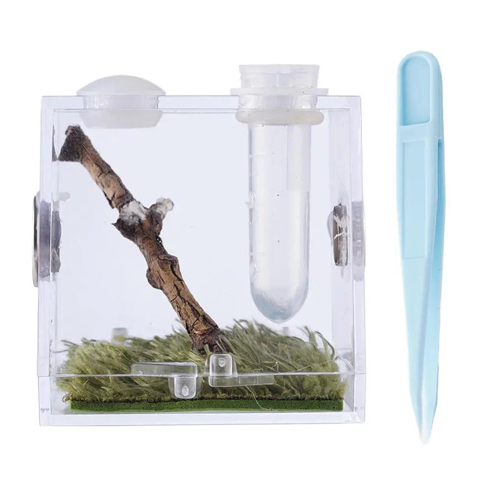 Small Reptile Feeding Box Transparent Acrylic Jumping Spider Breeding Box Habitat Small Insect Container Humidifier Feeding Box Oasis Select L