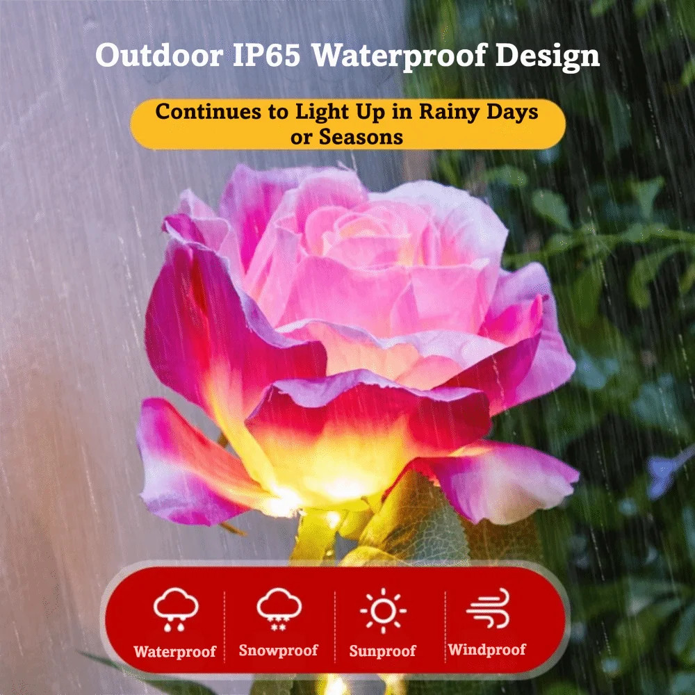 Solar Rose Garden Stake Light | 8 Modes, IP65, 80cm Tall