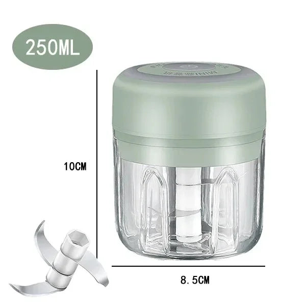 250/100ML Garlic Mincer USB Charging Powerful Mini Electric Garlic Chopper Portable Garlic Crusher Kitchen Food Chopper Unisex Oasis Select 105-Green250ml