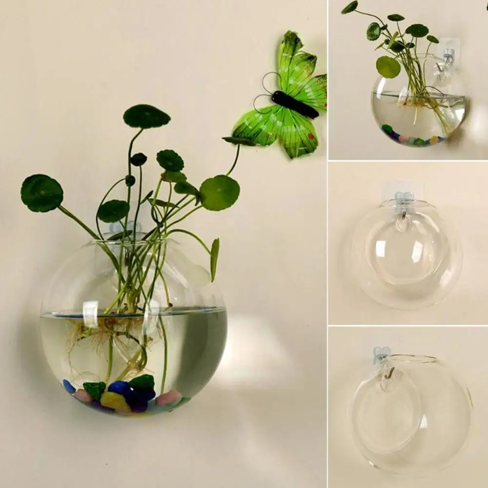 Wall Mounted Acrylic Betta Fish Tank & Hydroponic Planter Wall Mounted Planter Oasis Select