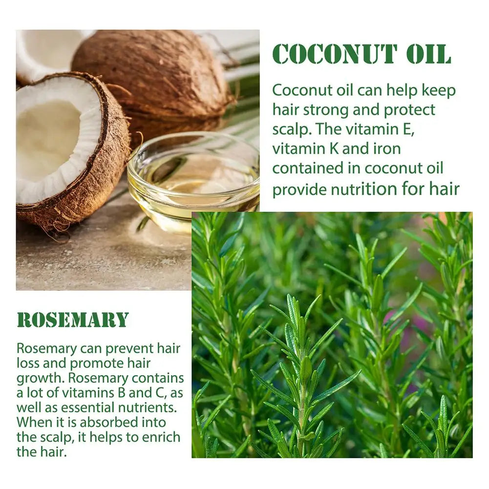 Rosemary Essential Oil with Dropper, 1/3PCS Rosemary Oil for Hair Growth, Hair Strengthening, Nourishing & Volumizing Refreshing Oasis Select
