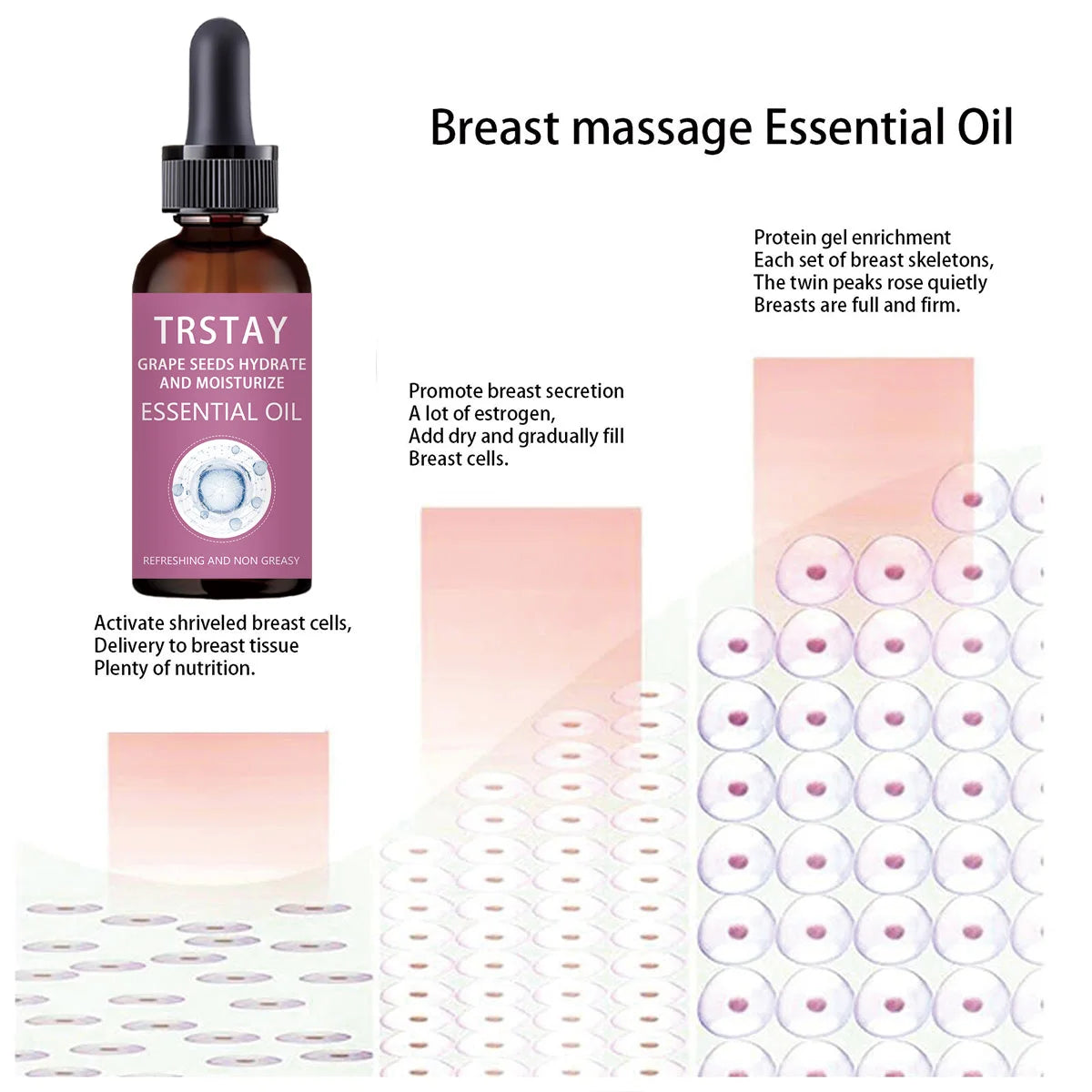 Seed Breast Enhancement Oil Breast Massage Firming Elastic Breast Beauty Milk Delicate And Smooth Shape The Bust Oasis Select