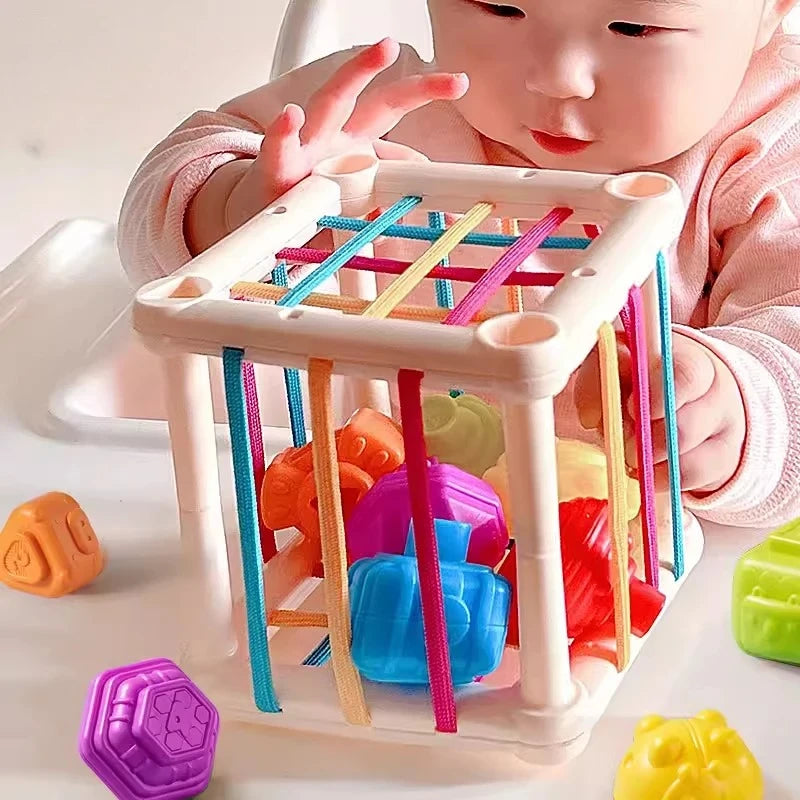 Montessori Baby Toys 18 Months Sensory Development Learning Educational Toys Colorful Blocks Sorting Game For Babies Infant Oasis Select