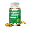 Ginkgo Biloba Capsules – Memory, Focus & Vision Supplement Herbal Supplement Oasis Select 60 count-1 bottle