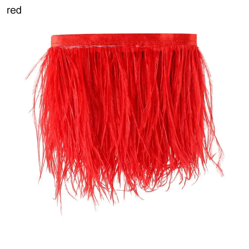 Fashion Ostrich Feathers Trim 1 Meter Long 8-10 CM Wide Plumes Ribbon Selvage DIY Dress Crafts Accessories Feathers Ribbon Oasis Select red
