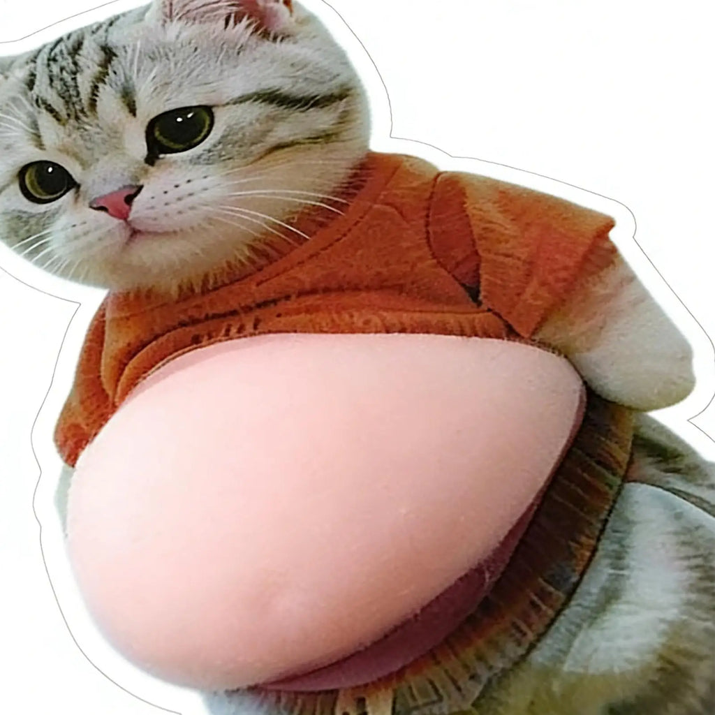 Cat Belly Sticker 3D self-adhesive Stickers Squeezeable Decoration Soft Pink Background Phone Decoration Sticker For Home Decor Oasis Select
