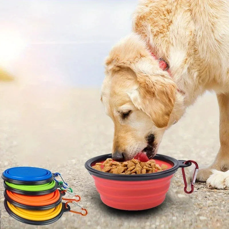 Dog Folding Bowl Portable Dog Travel Bowl Dog Food Water Bowl for Outdoor Walking Silicone Dog Food Water Bowl with Bowl Lip Oasis Select