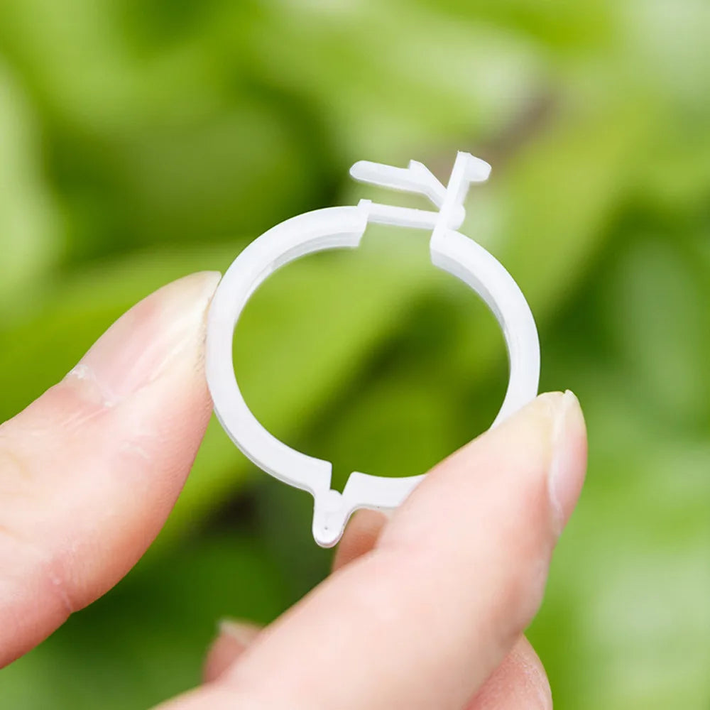 Plant Clips Supports Reusable Plastic Connects Fixing Vine Tomato Stem Grafting Vegetable Plants Orchard and Garden Tools 100PCS Oasis Select