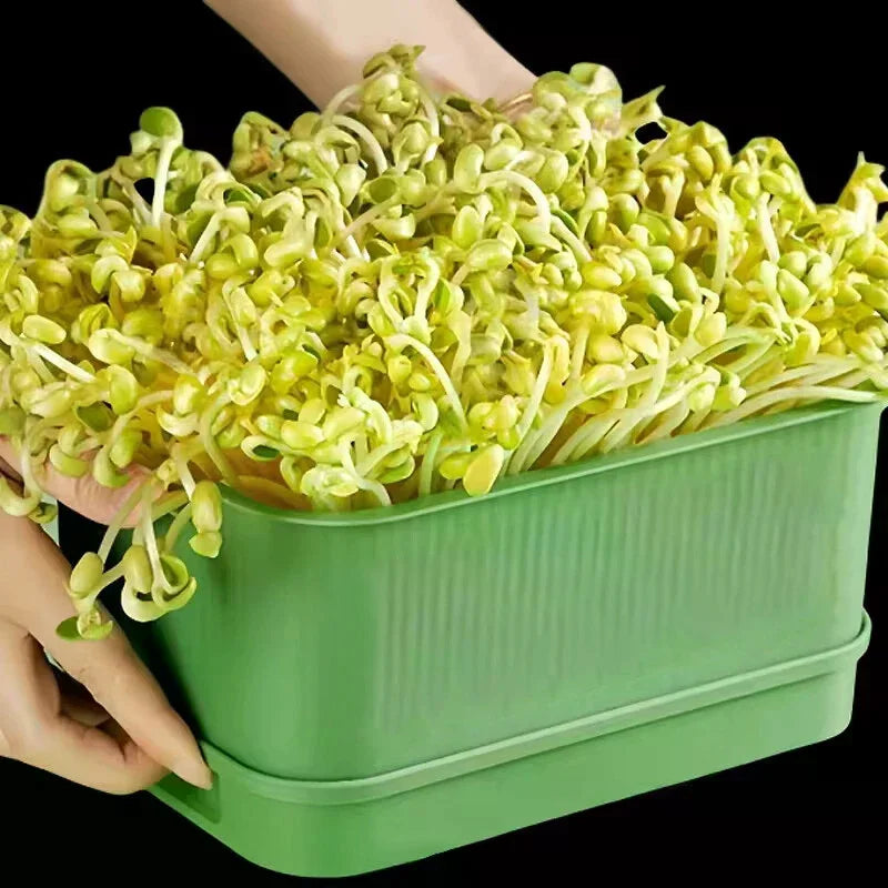 Plastic Seedling Nursery Pots & Germination Tray | Garden
