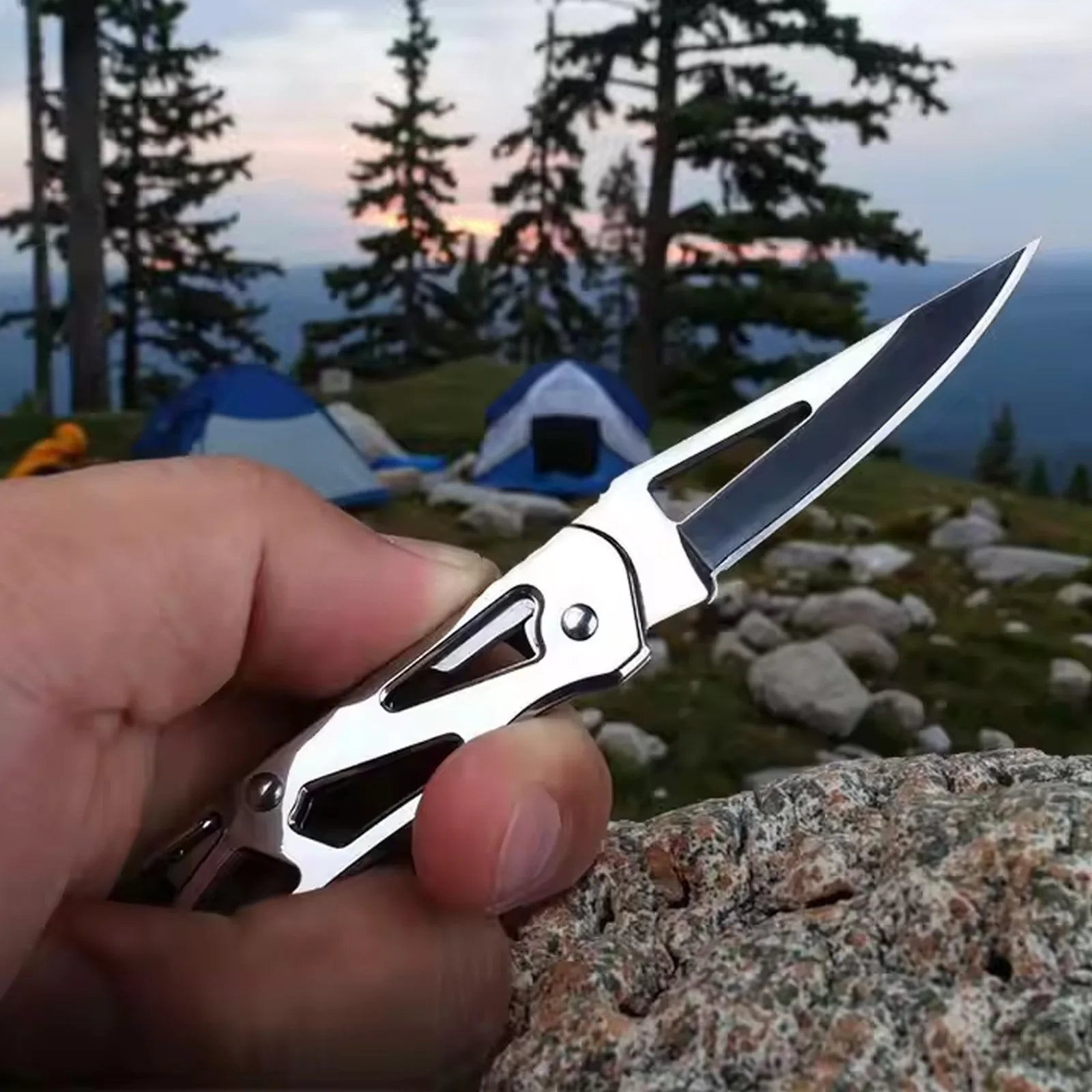 Folding Fruit Knife Stainless Steel Pocket Knife with Keychain Fruit Slicing Knives with Non-slip Handle Household Small Knife Oasis Select