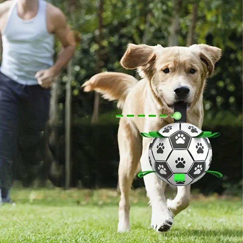 Interactive Dog Soccer Ball, Bite Resistant Pet Football for Small Dogs & Puppies, Squeaky Training Toy for Indoor Outdoor Play Oasis Select