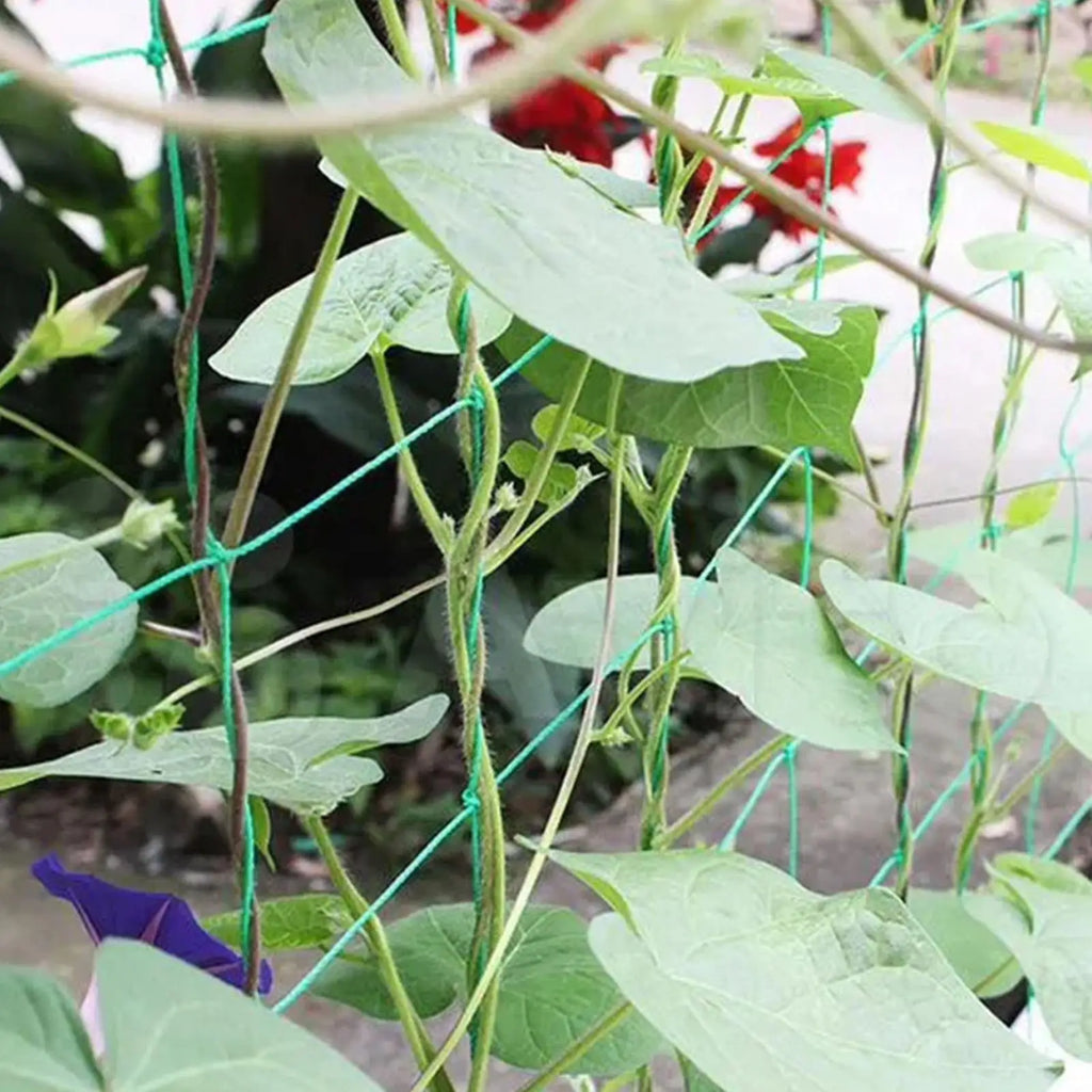 Plant Trellis Netting For Climbing Plants Sturdy Plant Trellis Net Sturdy Cucumber Trellis Flexible Plant Support Grow Net Mesh Oasis Select