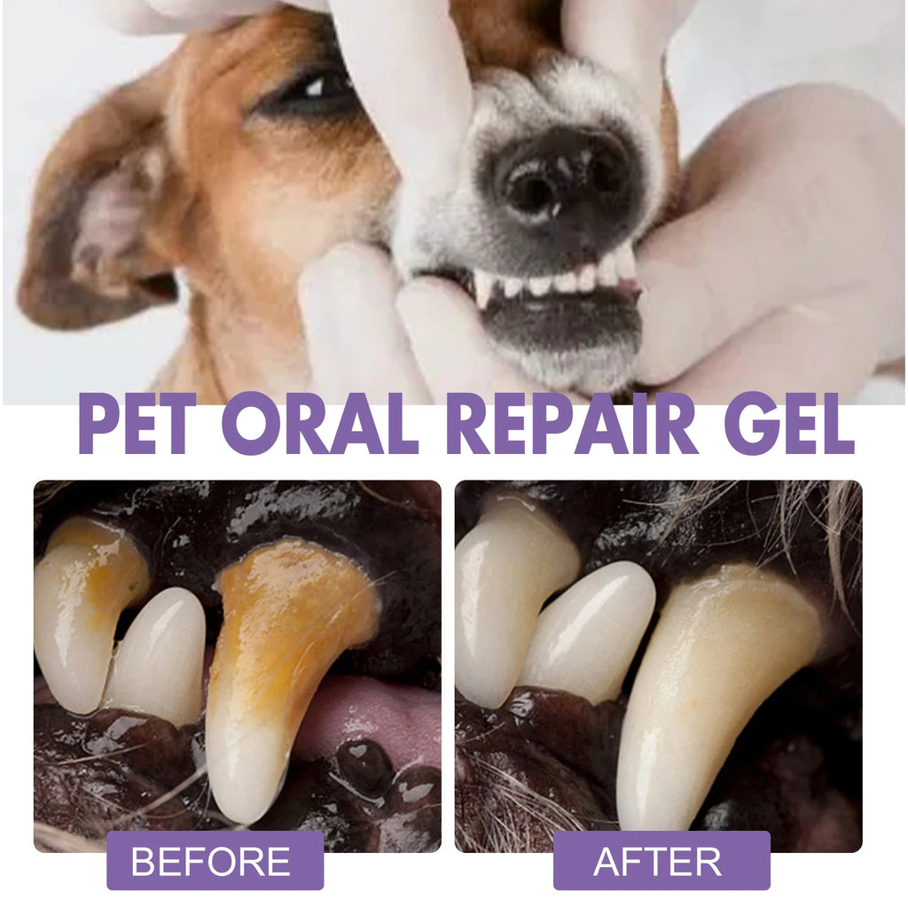 Pet Oral Repair Gel Stain Cleaner Remove Dental Stains Eliminating Odors Freshens Breath Reduce Pet Yellow Teeth Cleaning Pen Oasis Select