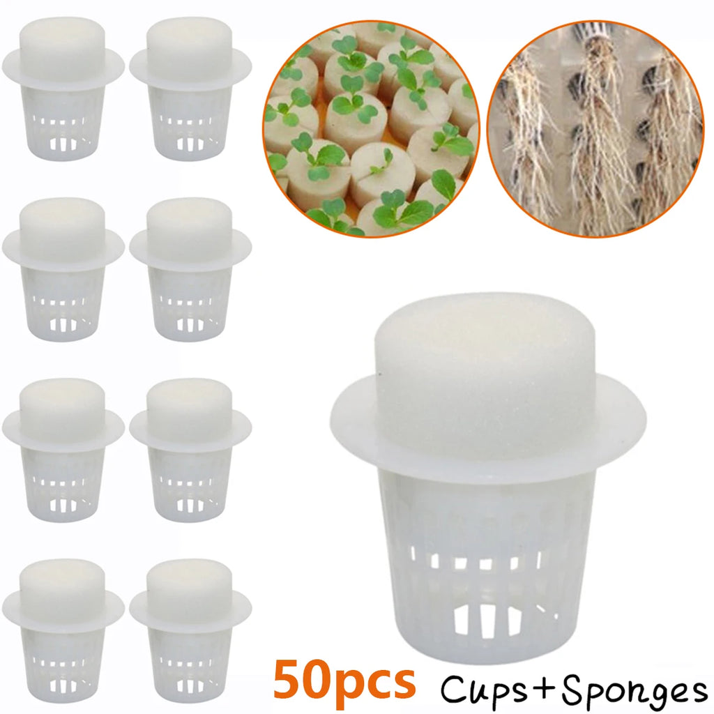 50PCS Plant Net Cup & 50PCS Cylinders Sponge For Hydroponics Aquaponics Orchids Plant Starting UV Resistant Plastic Net Cups Oasis Select Default Title
