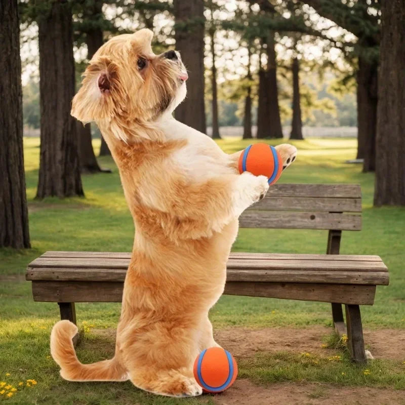 2pcs Durable Rubber Dog Chew Balls Orange Durable Rubber | Gnaw-Resistant, Interactive Training & Educational | Medium Breeds Oasis Select