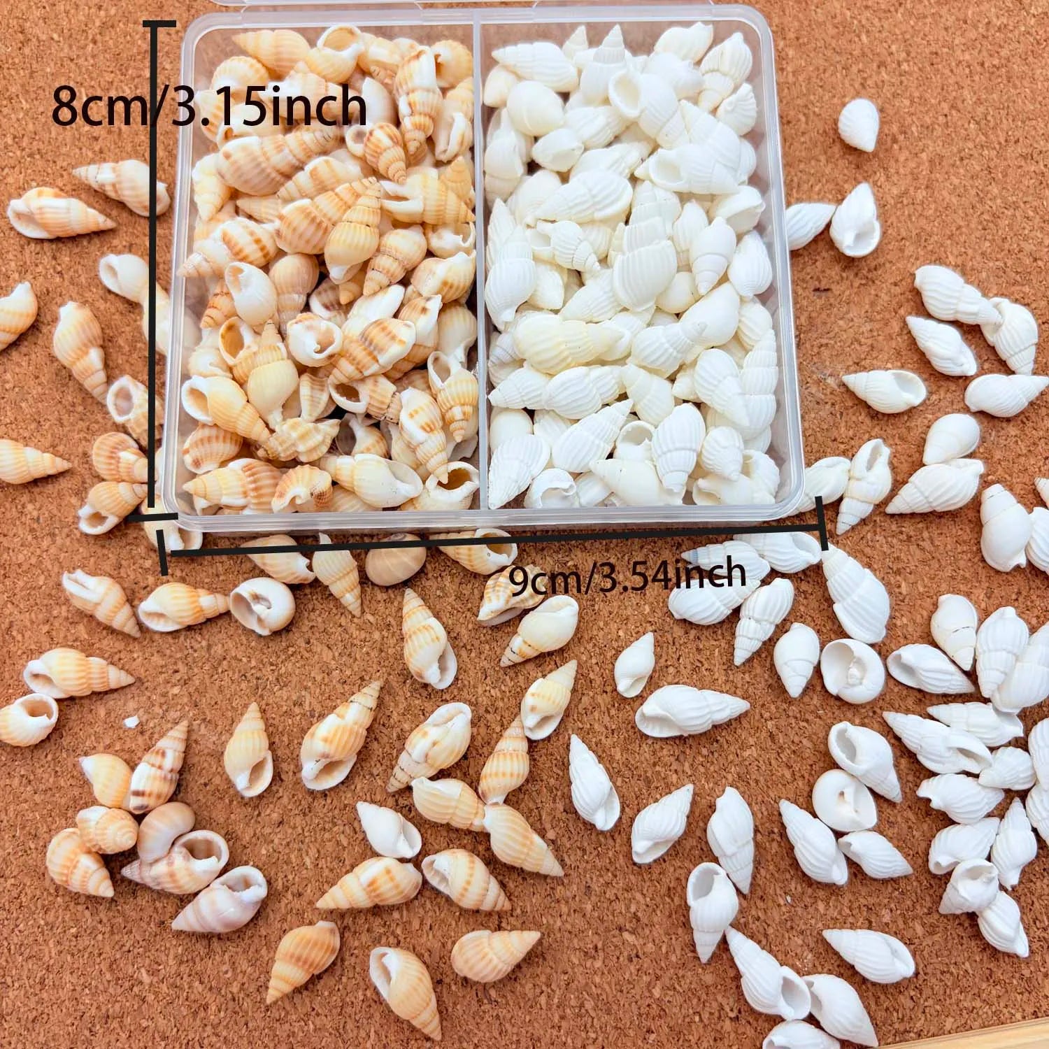 1 Box Small Shell Conch Starfish Natural Tiny Ocean Seashells for DIY Beach Theme Decor Art Crafts Projects Fish Tank Vase Fill Oasis Select 1 BOX