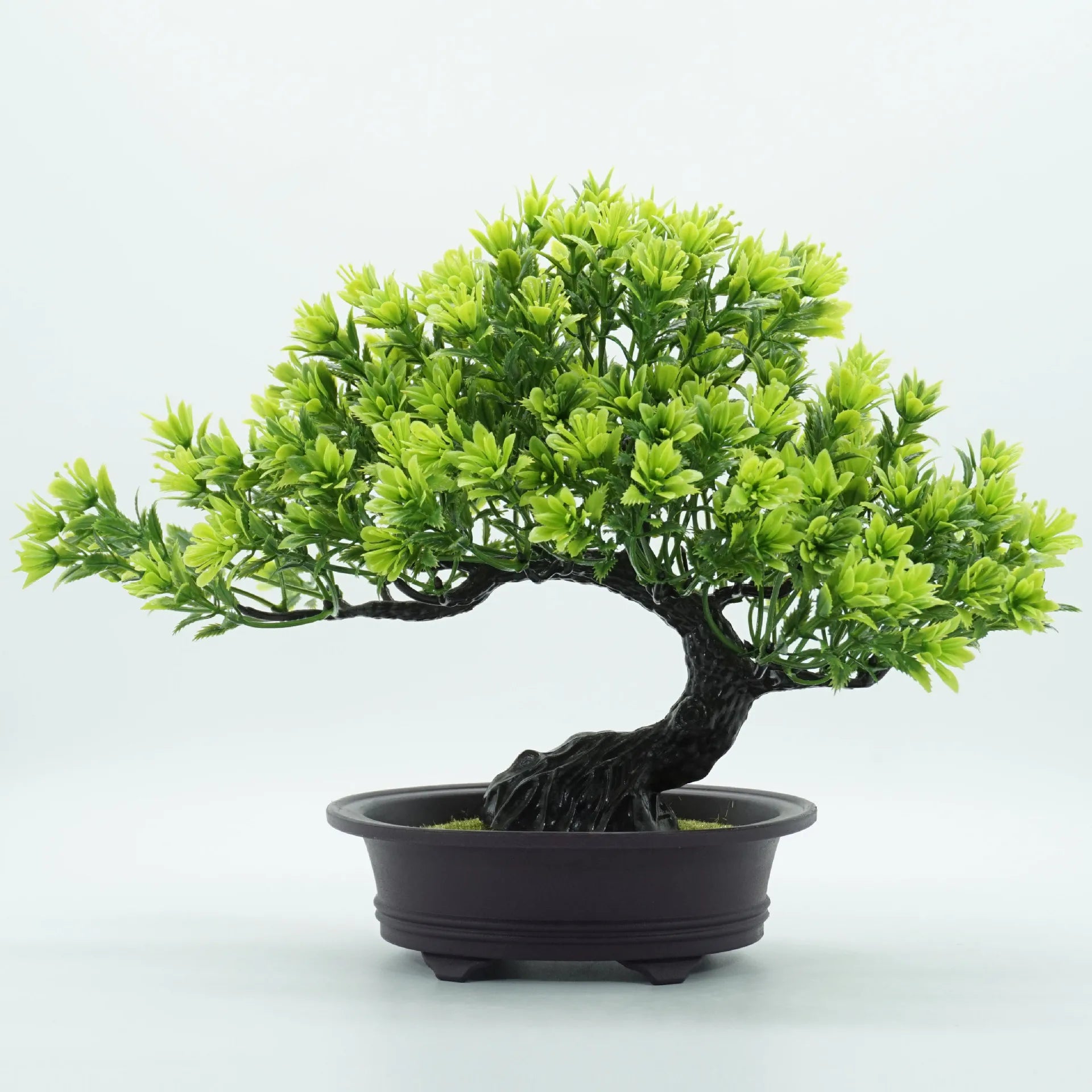 Creative simulation welcome pine potting room Zen green plant bonsai decoration fake flower decoration Oasis Select Green 24cm x 32cm