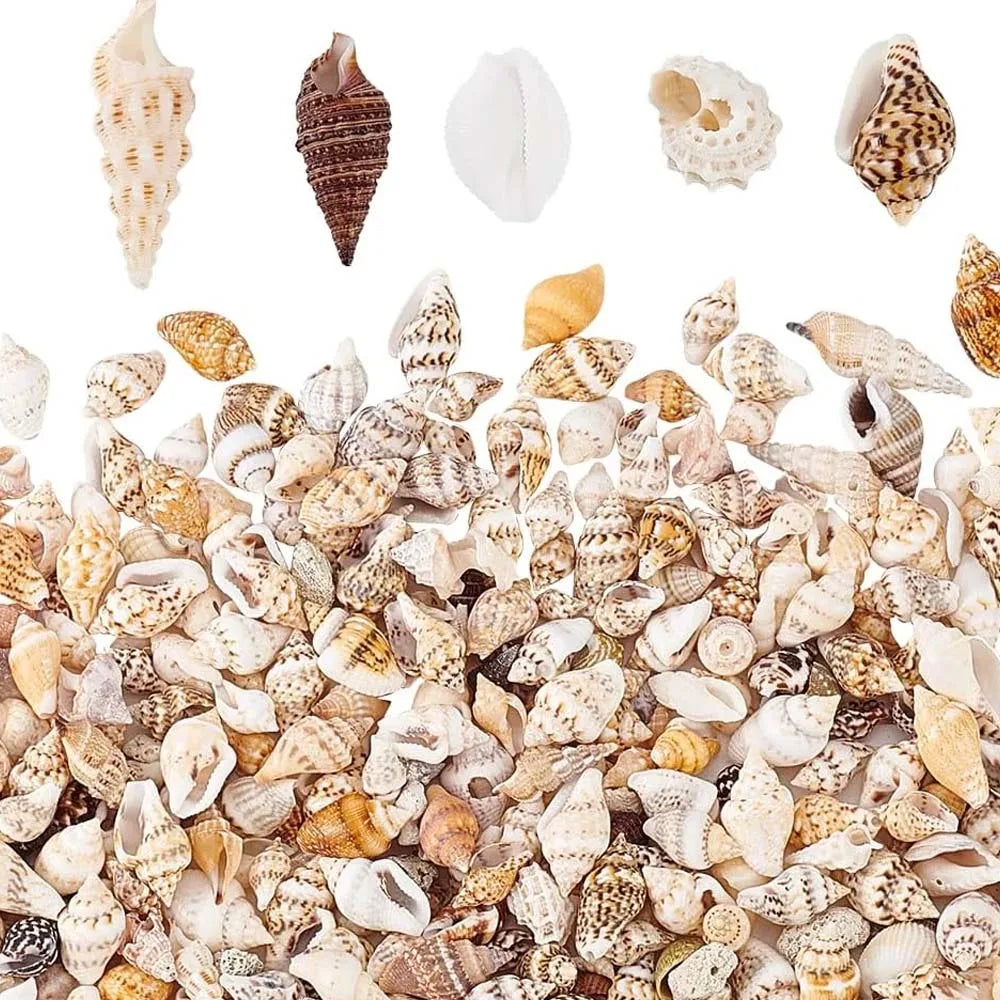 1Box Tiny Sea Shells Miniature Shell NO Hole for Candle making Jewelry Making Crafts FishTank Aquarium Ornament Craftwork Oasis Select