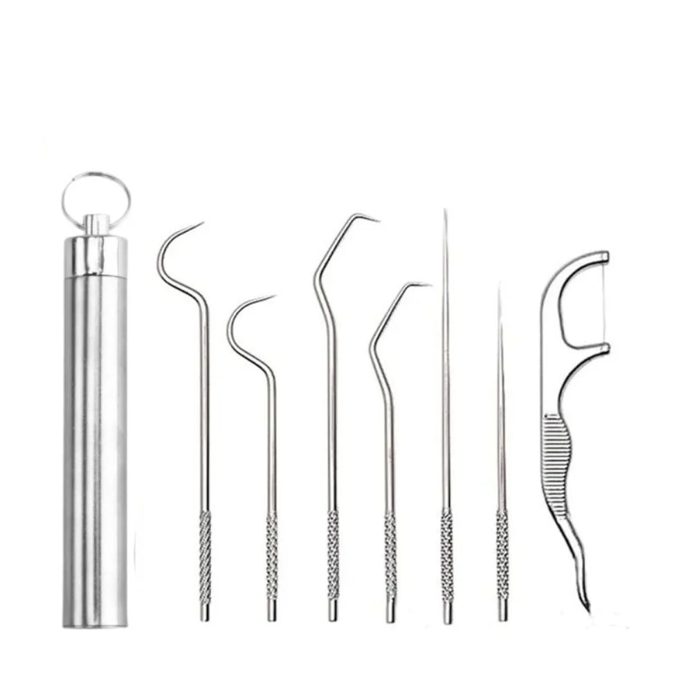 7pcs/set Reusable Stainless Steel Toothpick Set with Toothpick Holder Keychain Design Tartar Removal Tool Oral Clean Oasis Select 7PCS